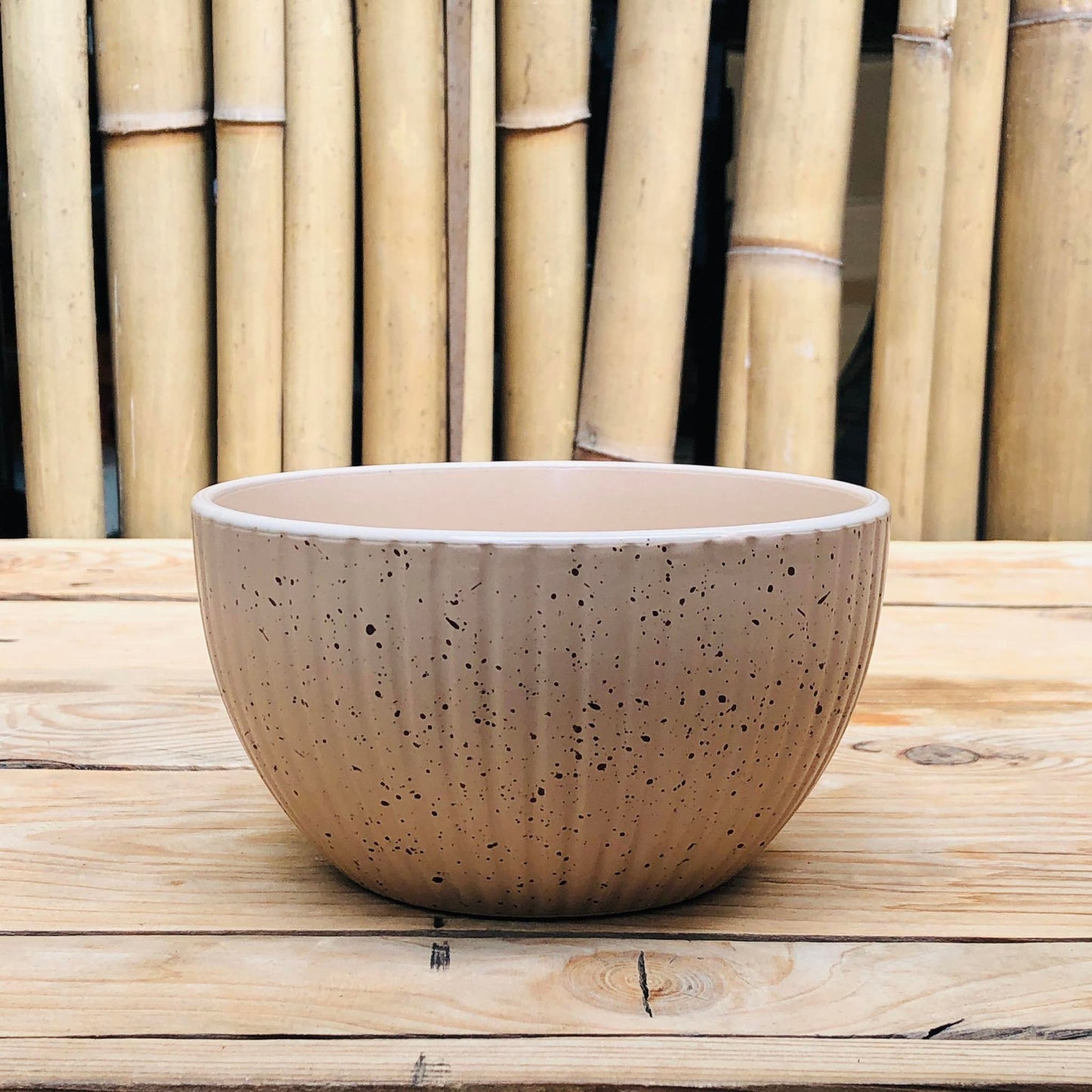 Jonas 16pcs Set Stoneware(4pcs Dinner10.5inch,4pcs 8inch,4 pcs Bowl 6x3.25inch and 4pcs Mug460 ml)
