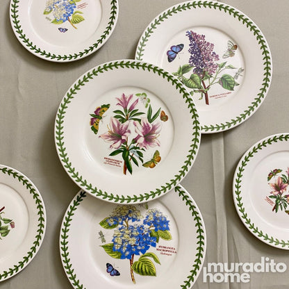 Pelle Ceramic Dinnerware Collection