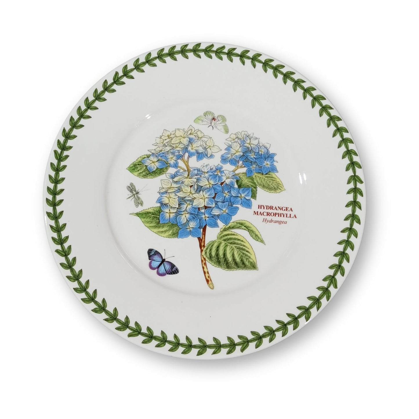 Dani Ceramic Dinnerware Collection
