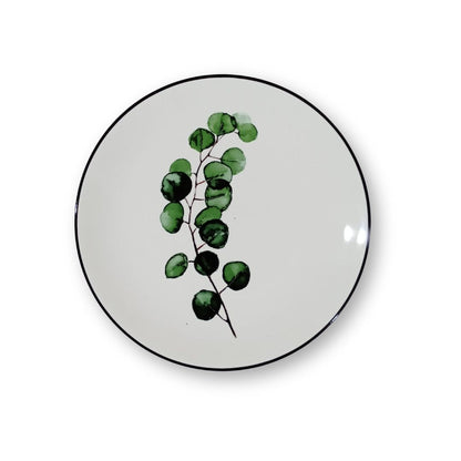 Plantita
