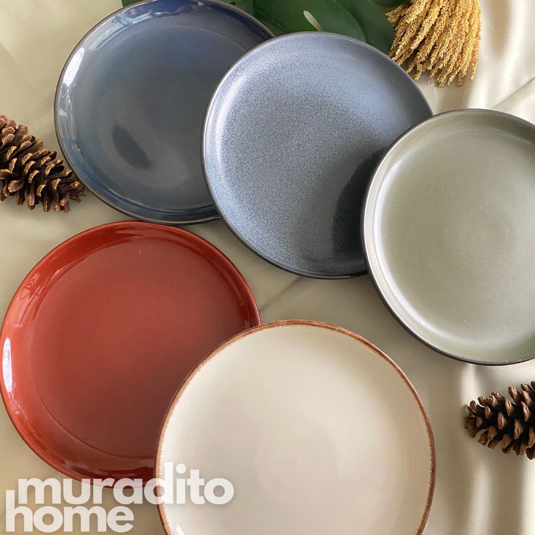 Assorted Dinner Plate 10.5 inches