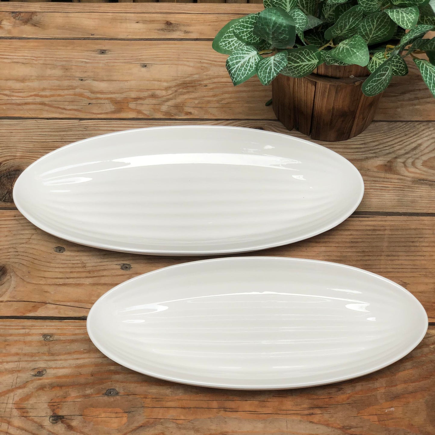 Ceramic Oval Plate Collection