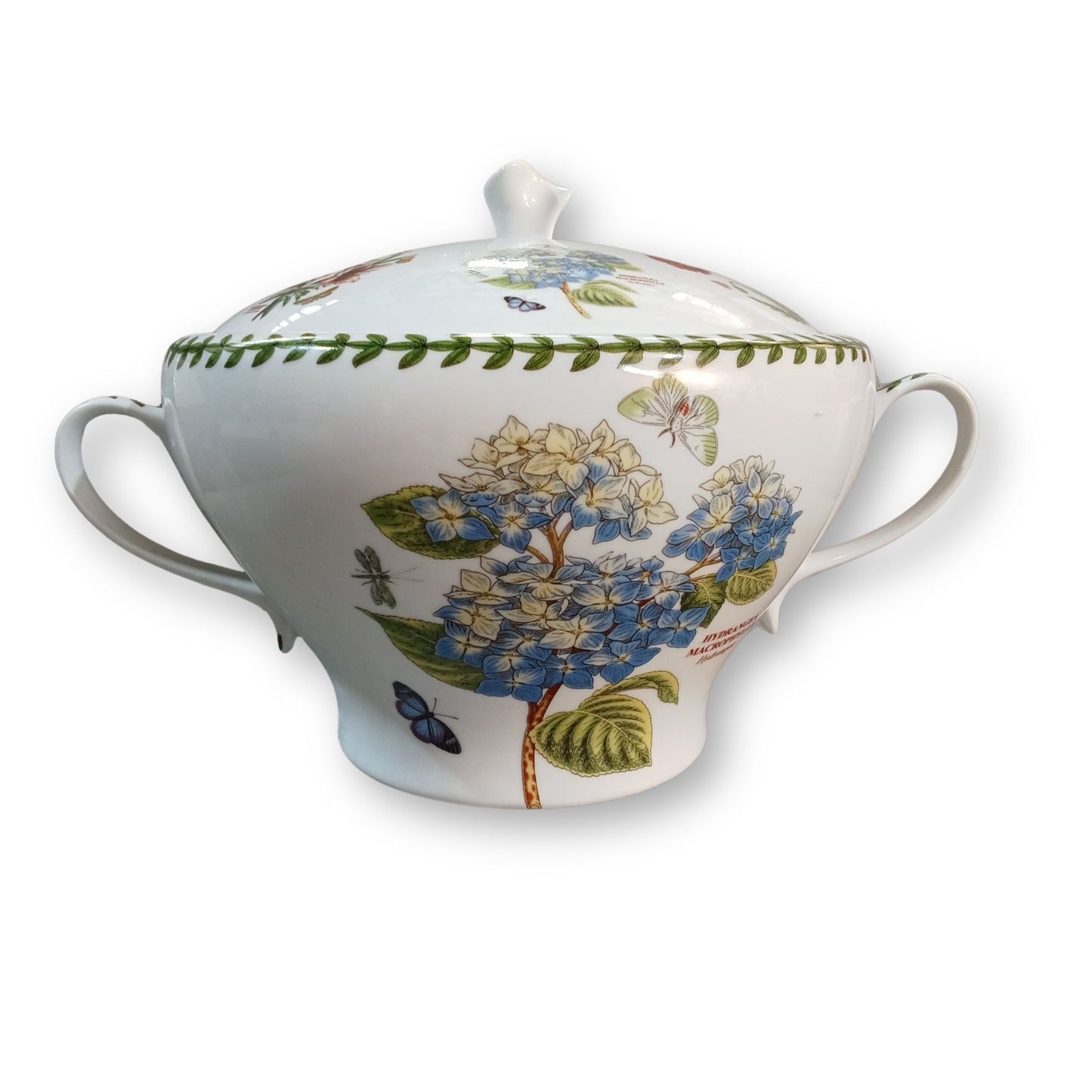 Dani Ceramic Dinnerware Collection
