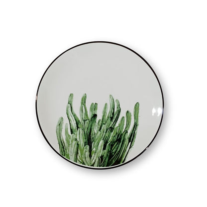 Plantita