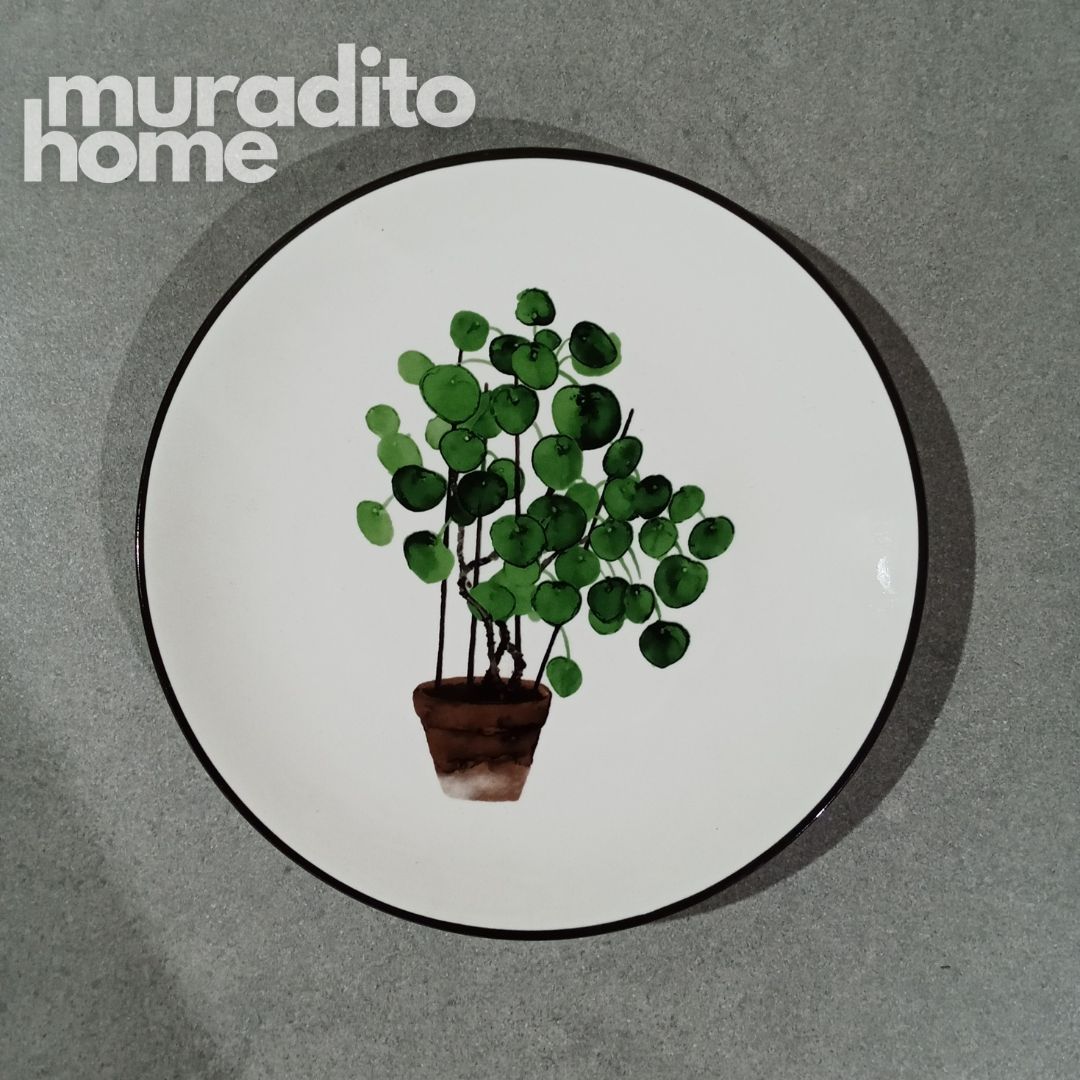 Plantita