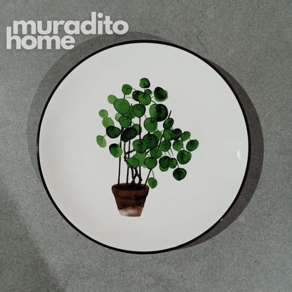 Plantita