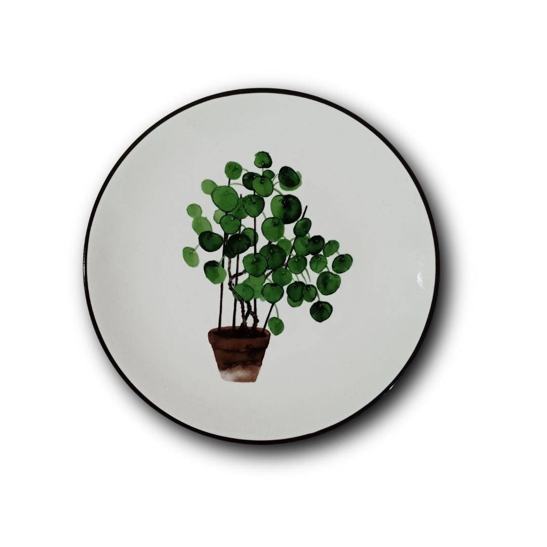 Plantita
