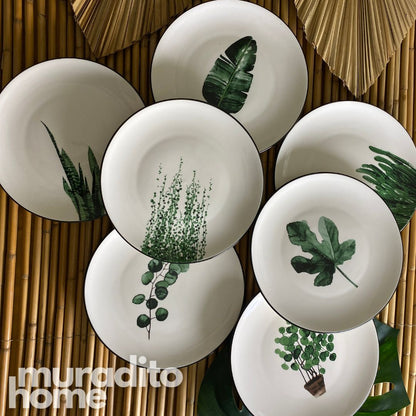 Plantita