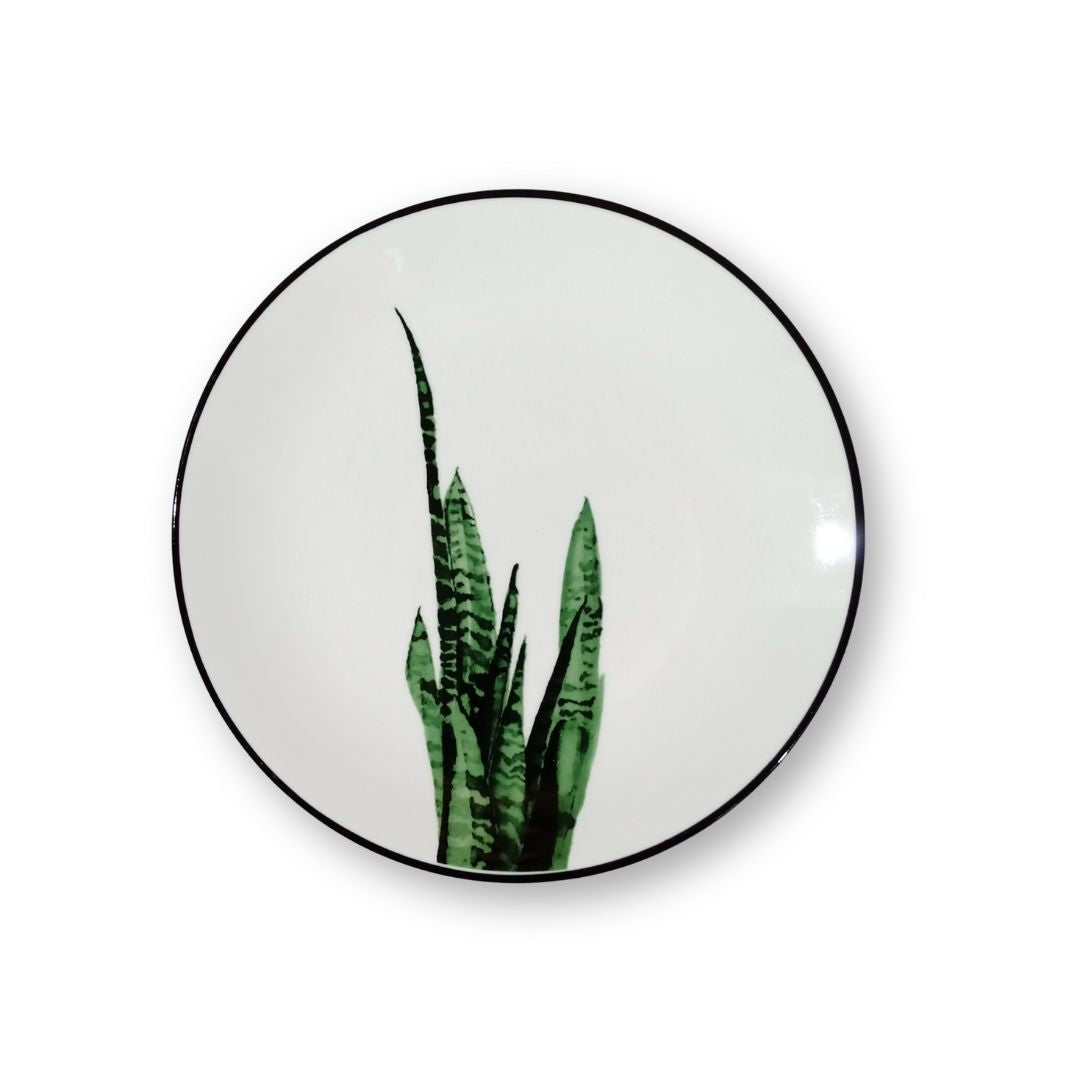 Plantita