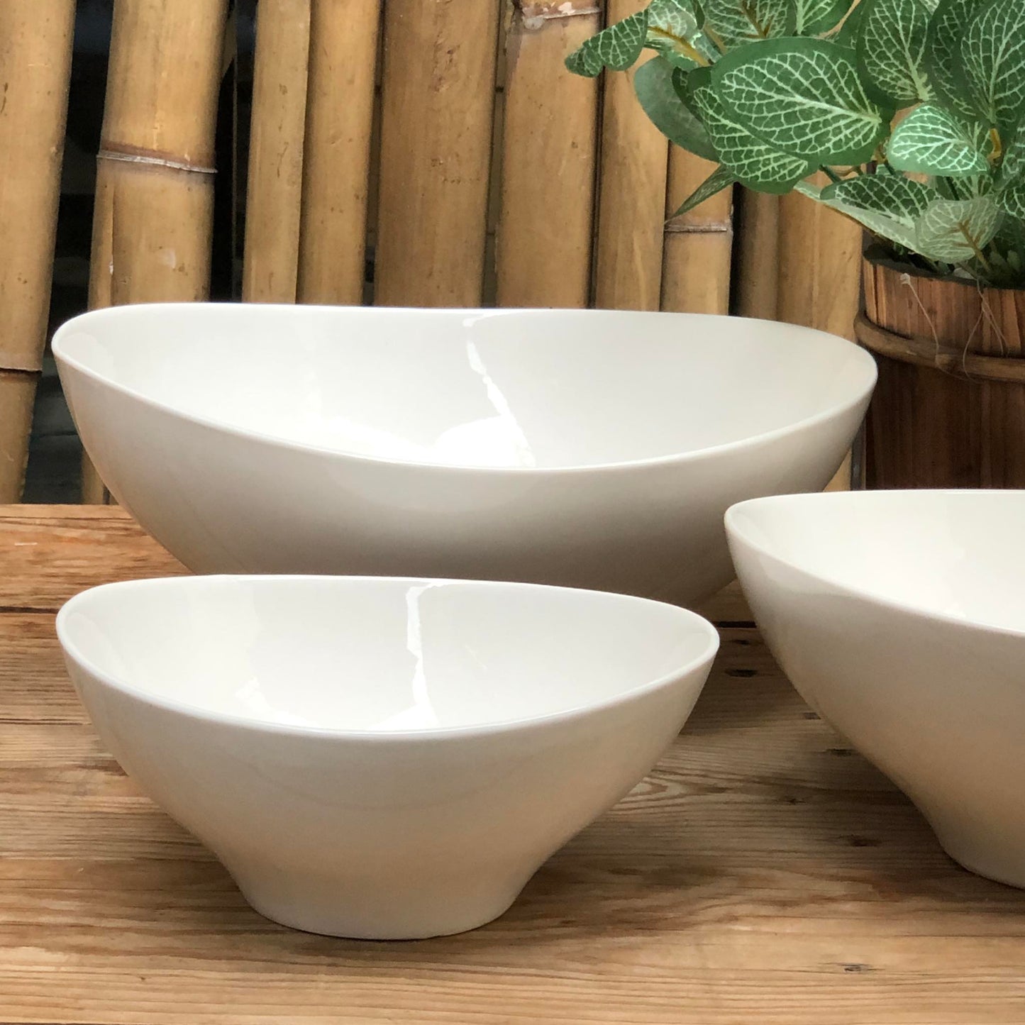 Irregular Shape Serving Bowl Collection