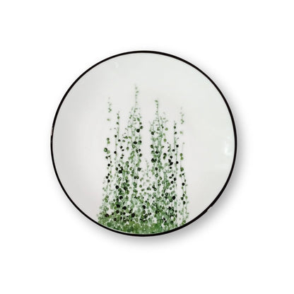 Plantita