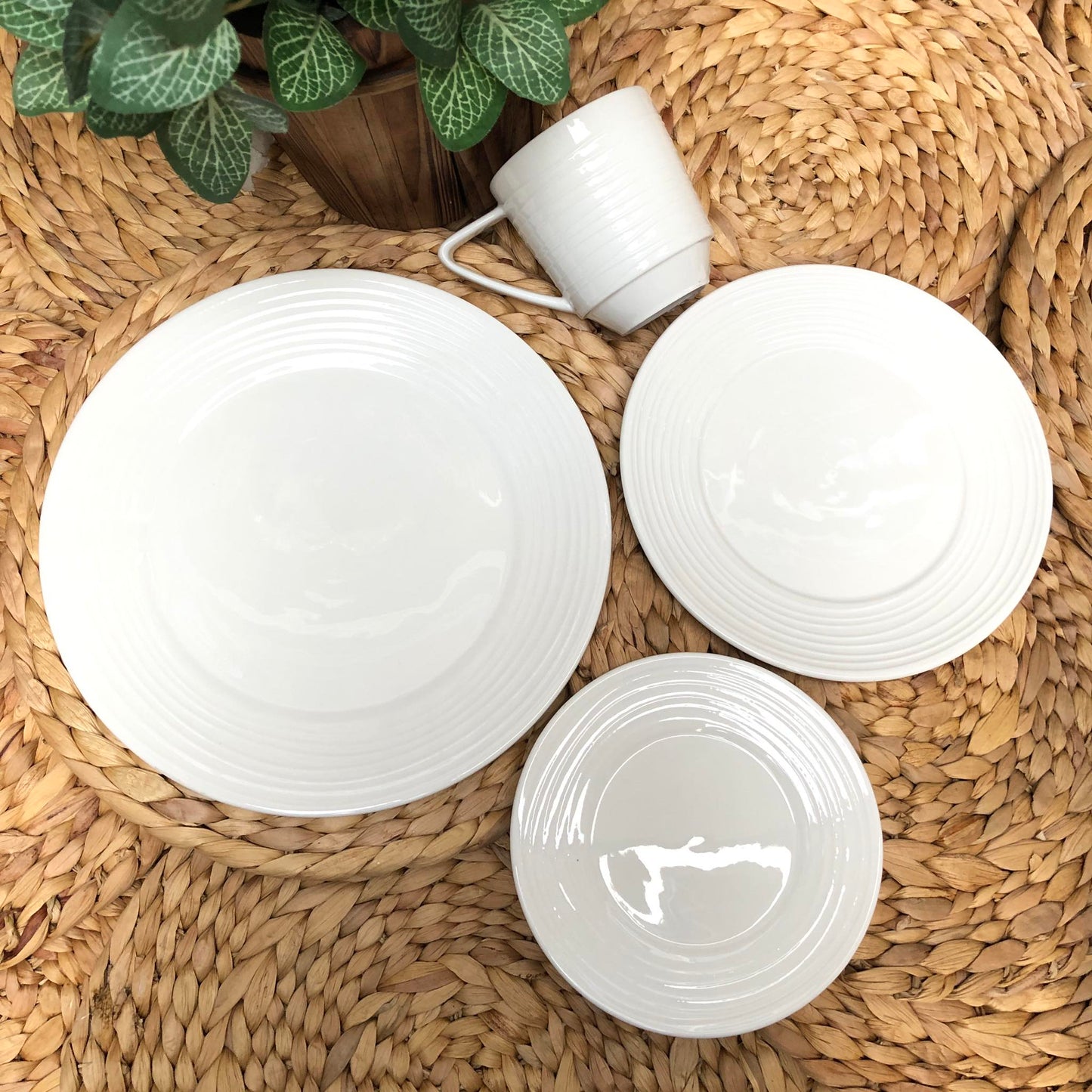 Max Plain White Ceramic Dinnerware Collection