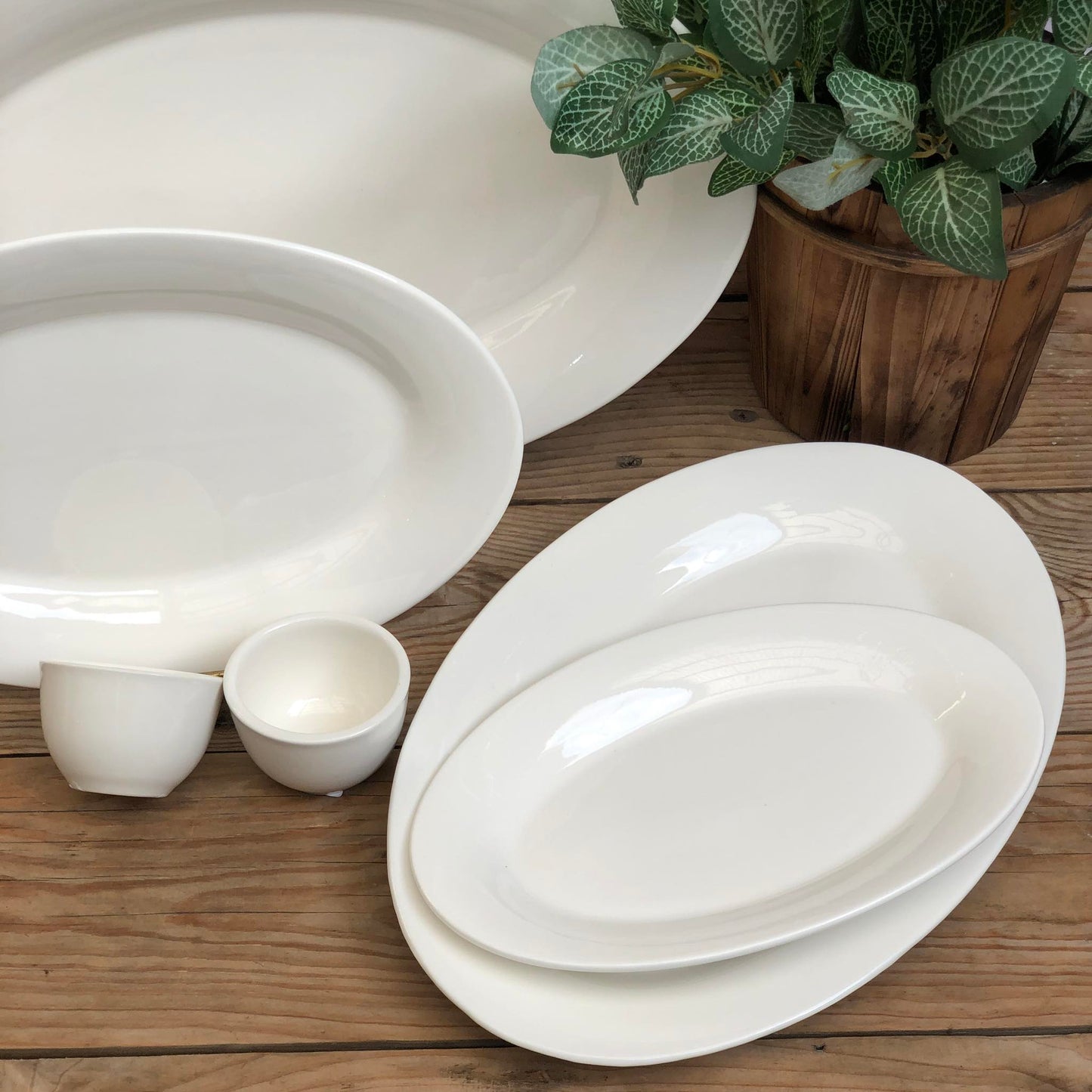 Oval Porcelain Serving Plate Collection
