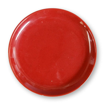 Assorted Dinner Plate 10.5 inches