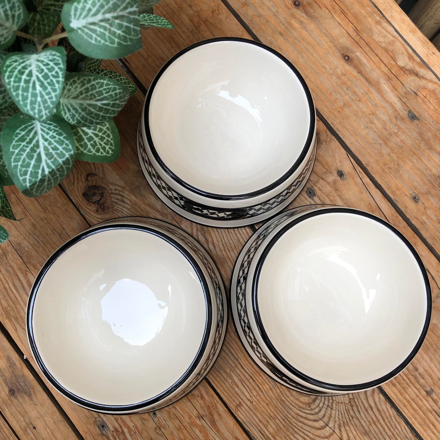 Max Pet Bowl Ceramic Collection