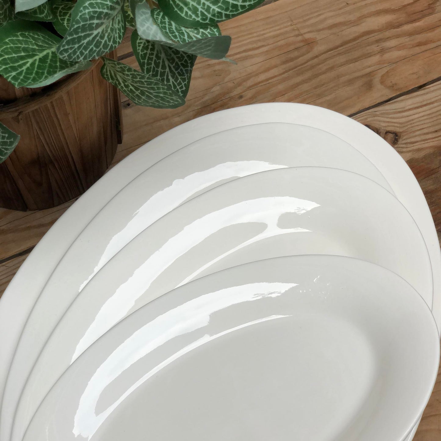 Oval Porcelain Serving Plate Collection