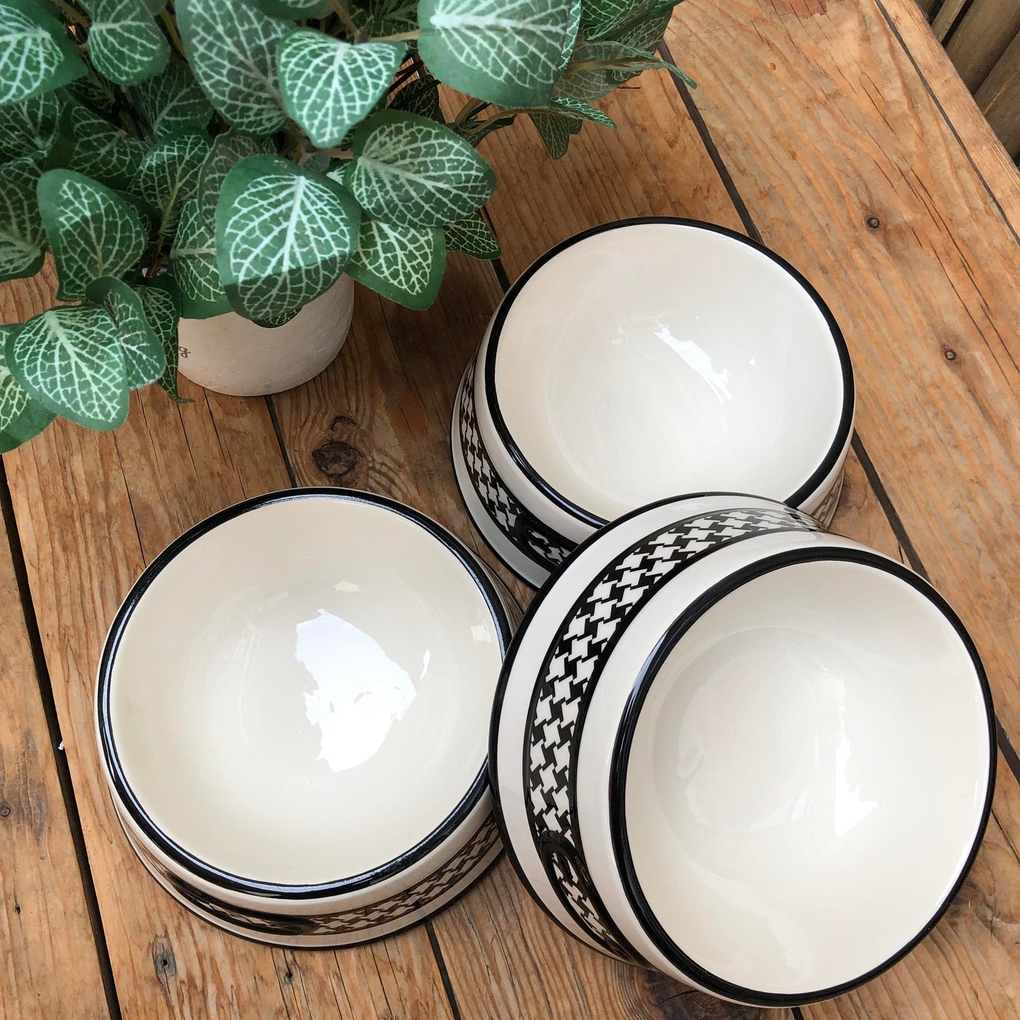 Max Pet Bowl Ceramic Collection